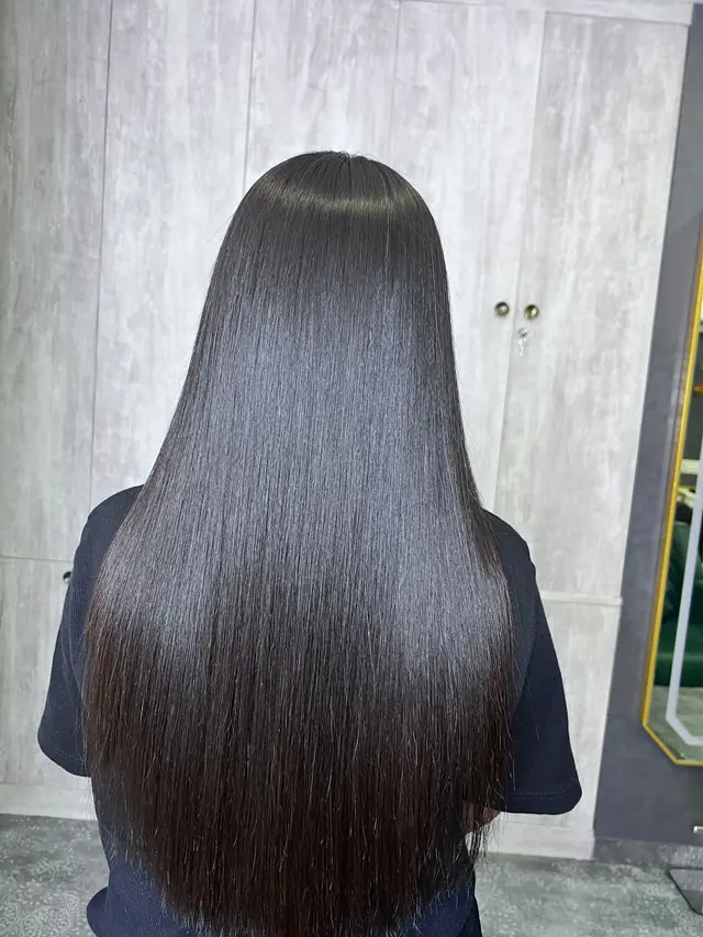 Back view of long, straight, glossy dark hair